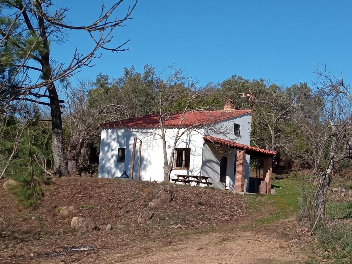 Viviendas Rurales Del Robledo Castano de Robledo Екстер'єр фото
