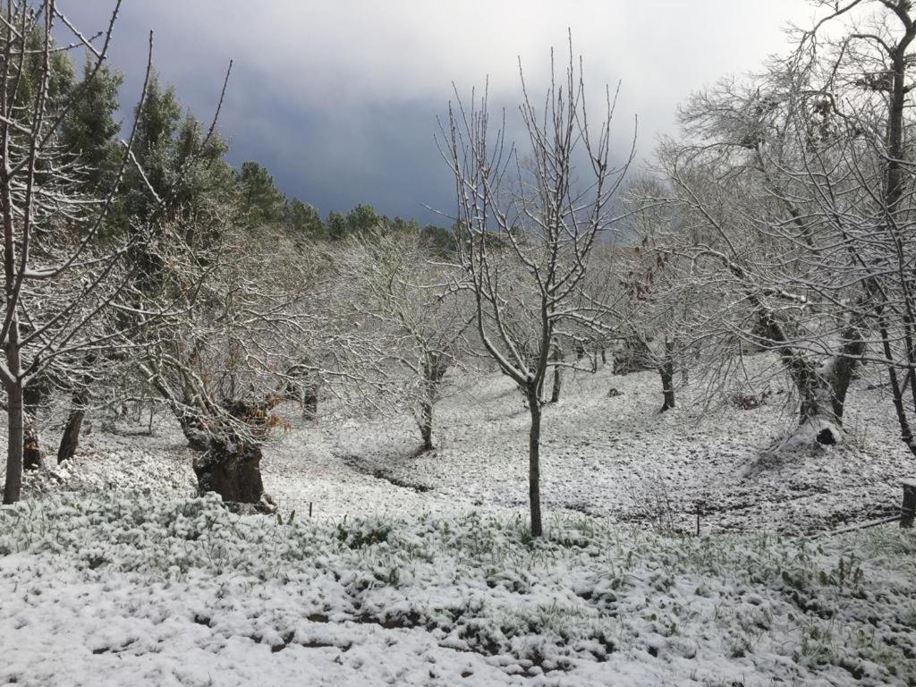 Viviendas Rurales Del Robledo Castano de Robledo Екстер'єр фото